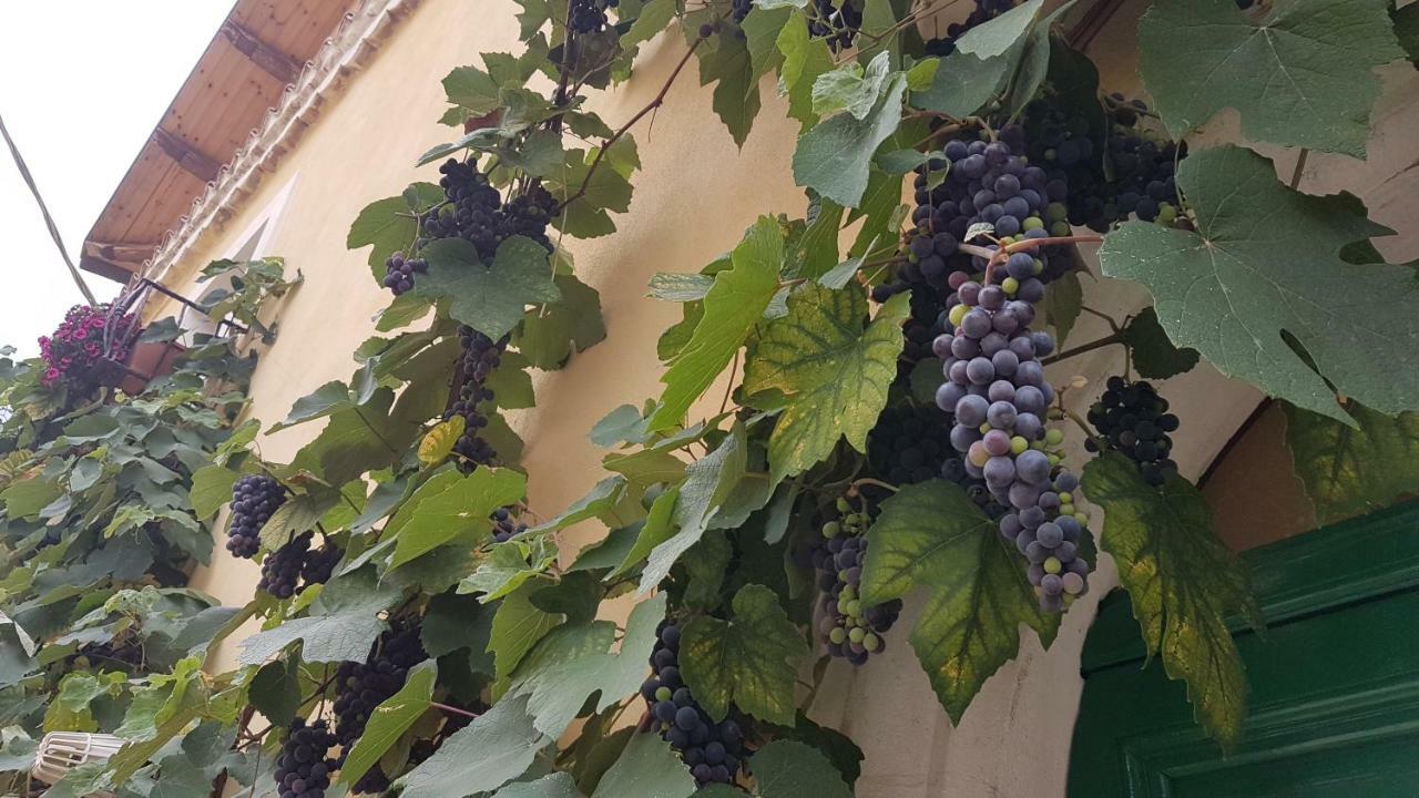 Scaccia Pensieri Villa Cerchio Kültér fotó